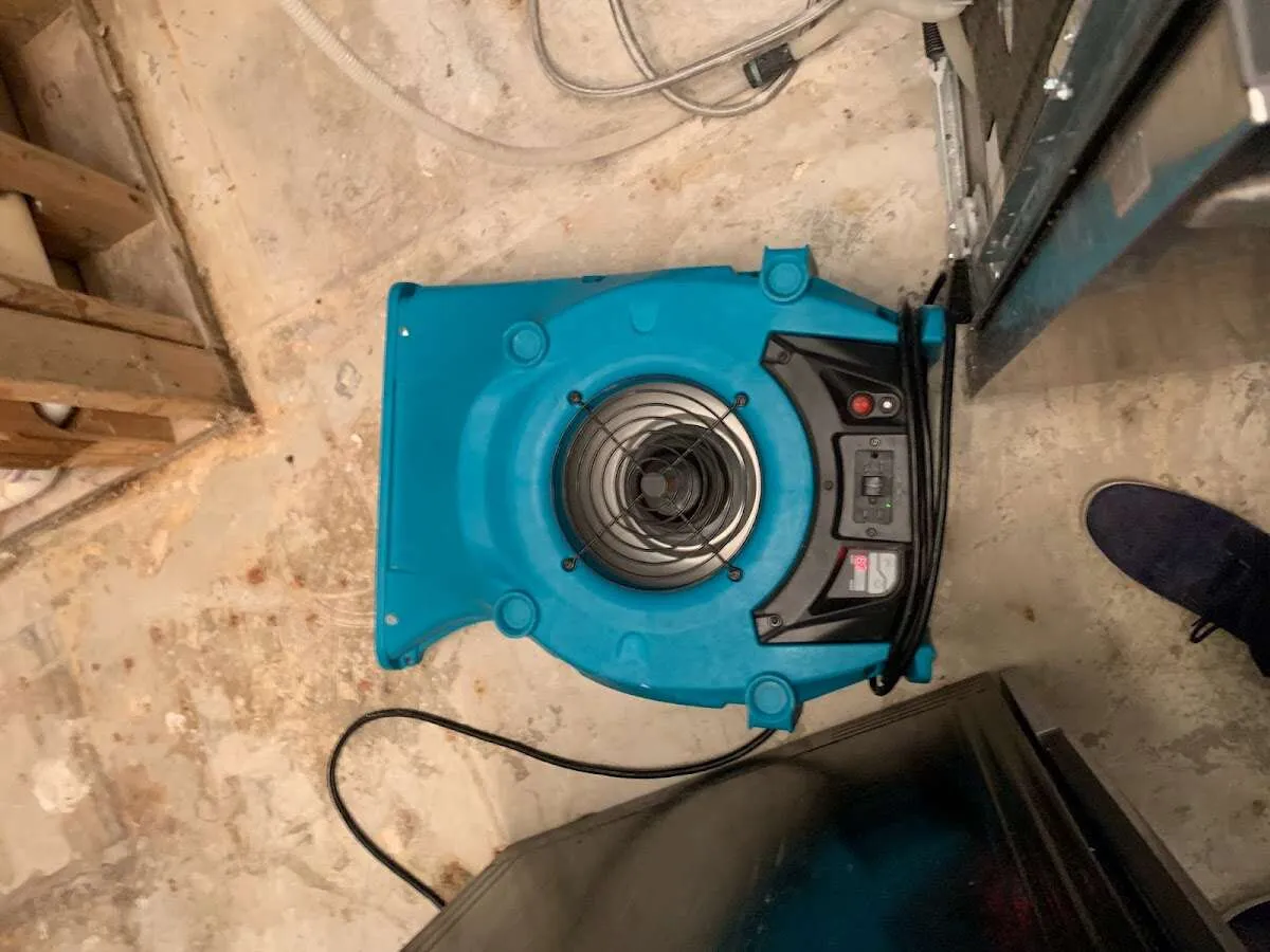 Air mover drying equipment for Mold Remediation & Removal in Jefferson Hills
